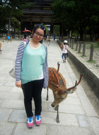  GogoJapan日本留學心得分享   奈良小鹿